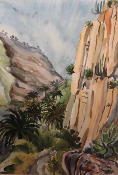 Urlaubsträume. La Gomera II